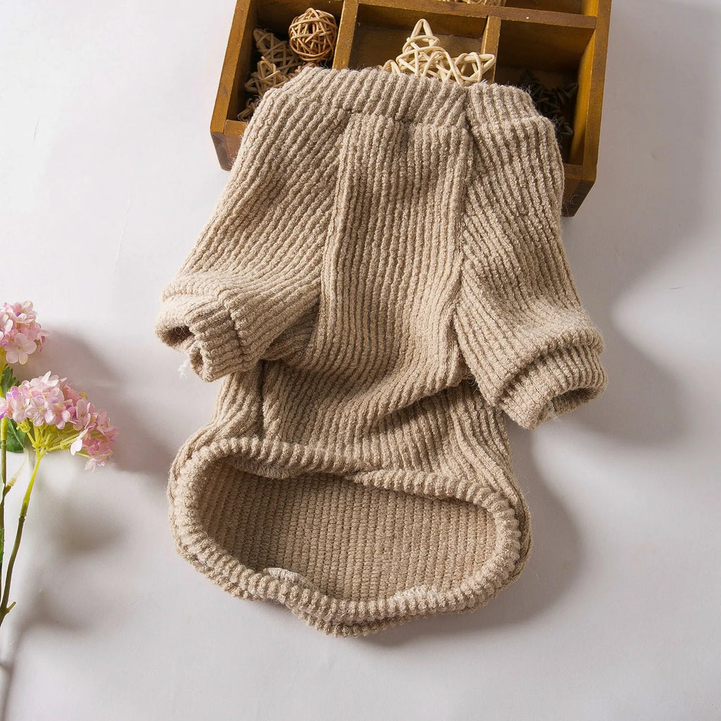 Brown knitted cloth sweater pullover on a small dog, showing casual style.