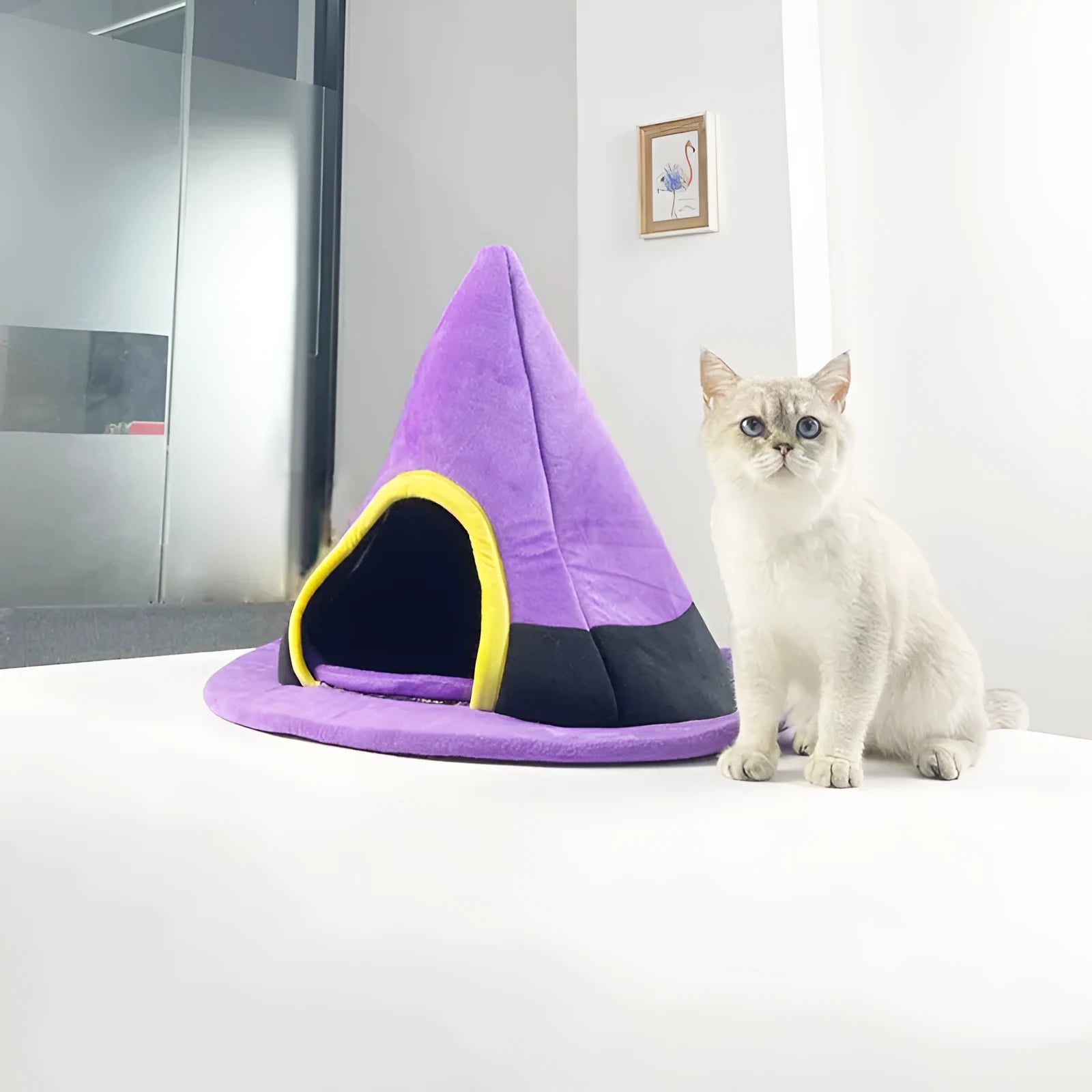 Purple cloth Halloween witch hat shaped cat bed for cats, measuring 60 by 45 centimetres.