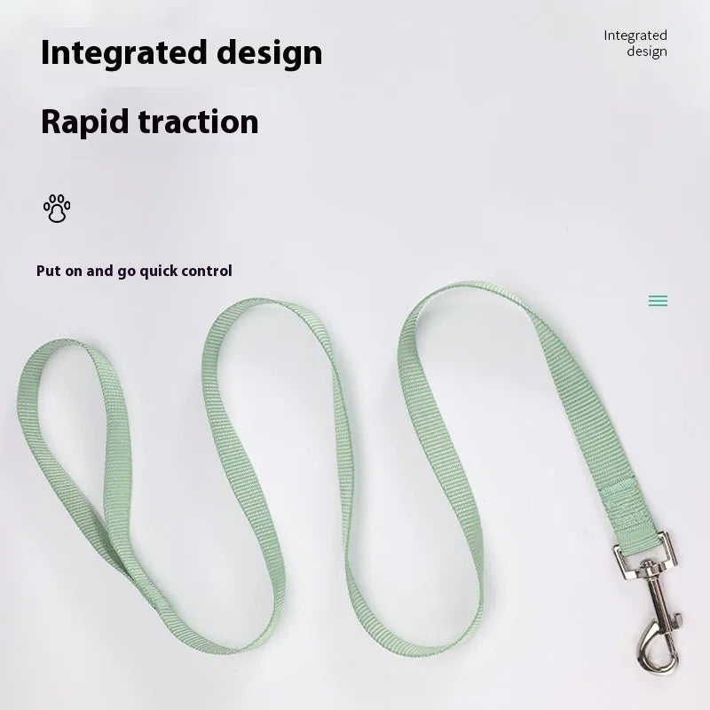Solid colour nylon dog hand holding rope and tug toy in various colours and sizes.