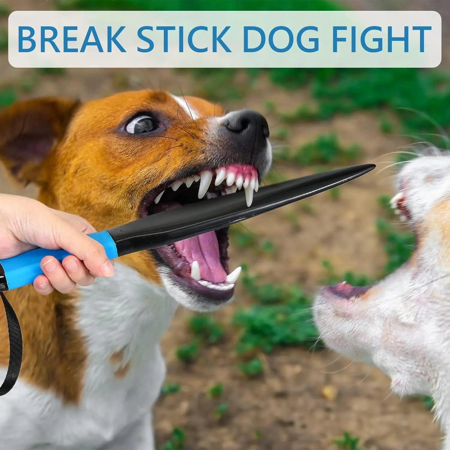 Blue handled nylon dog break stick for training, 35 cm long.