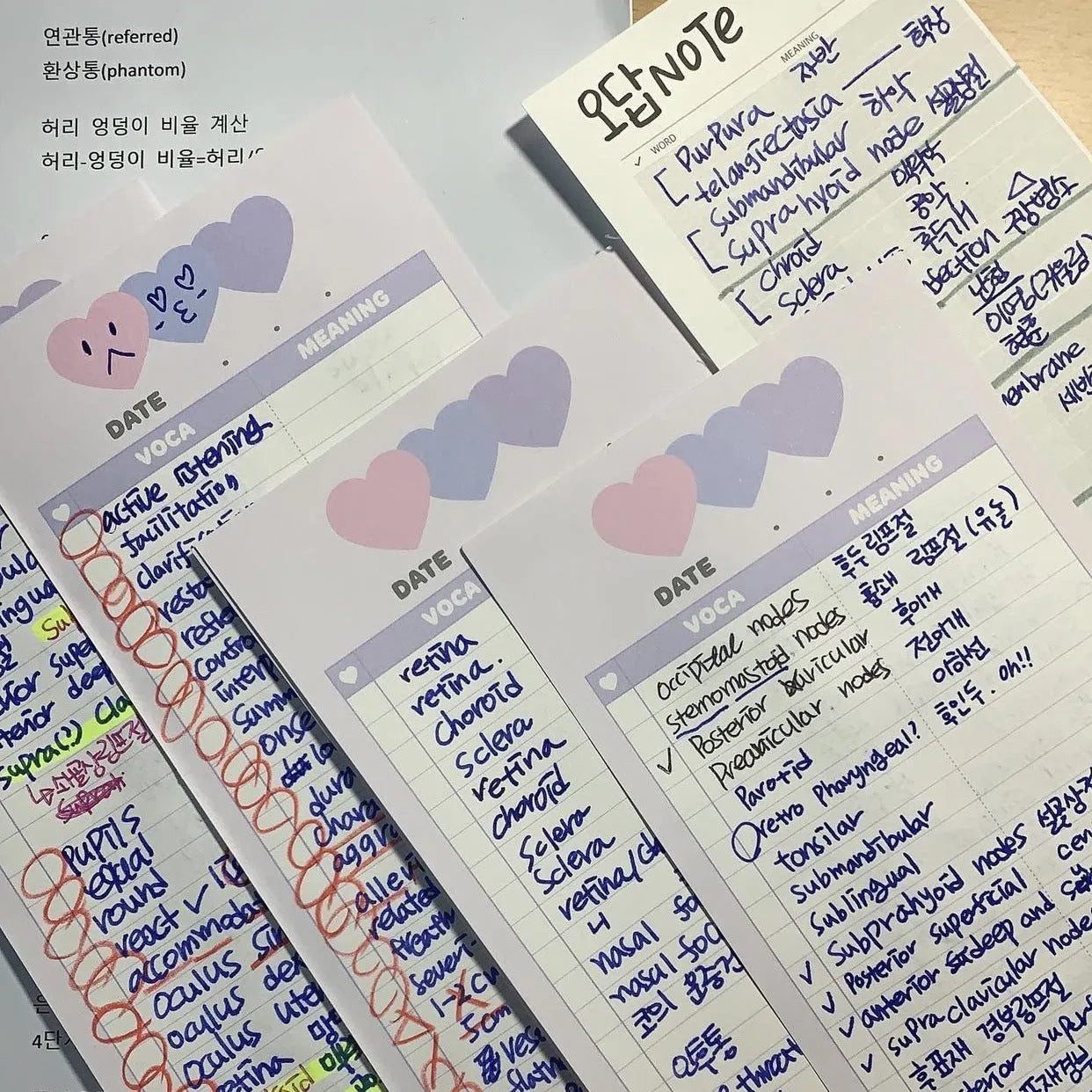Vertical half-B5 notepad with English words, shown in pink, purple, and blue cover colour options.