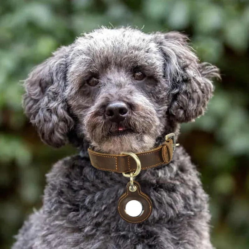 Brown double-sided cowhide leather dog collar with handmade retro styling and halter positioning system