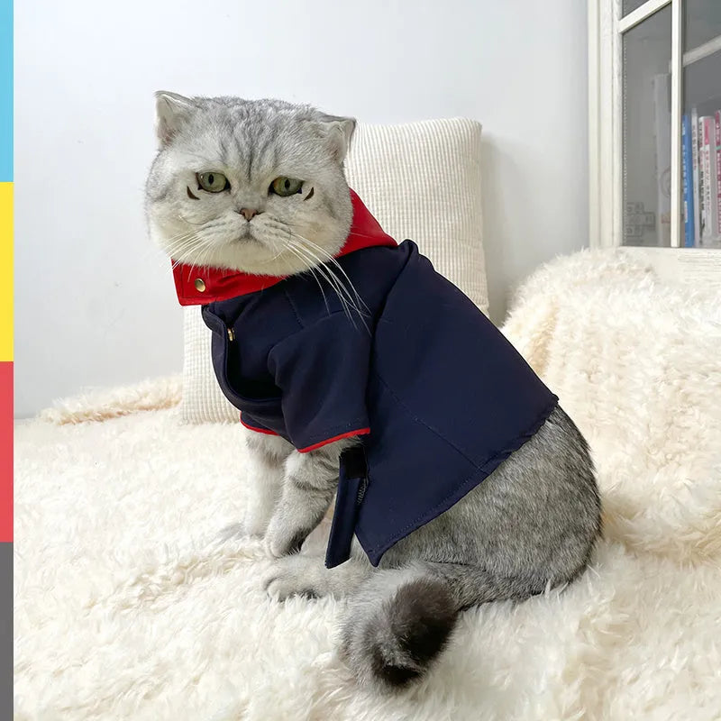 Tiger staff yuren coloured hoodie costume for a cat or dog on a mannequin.