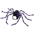 Grey big spider Halloween costume on a small dog, showing the full costume fit.