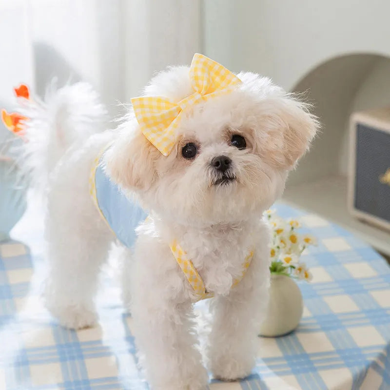 Small dog wearing a blue elastic vest with a heart texture and bow suspenders, with a matching hairband.