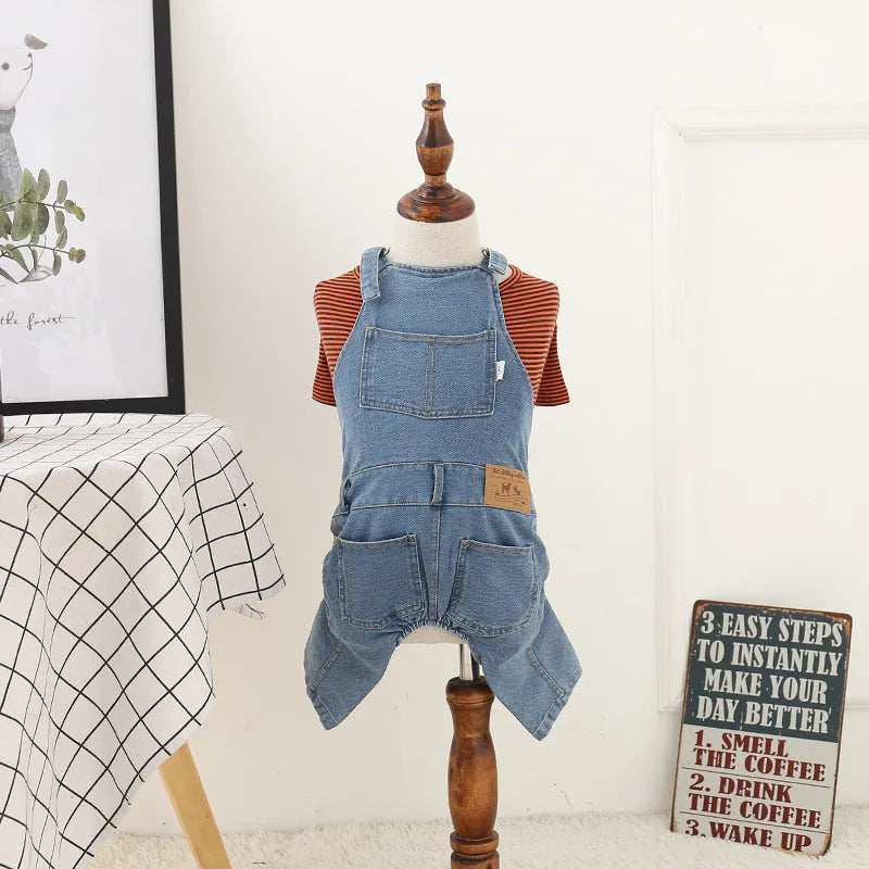Jeans-style four-legged dog clothes in cotton, dark colour, on a small dog breed like Teddy