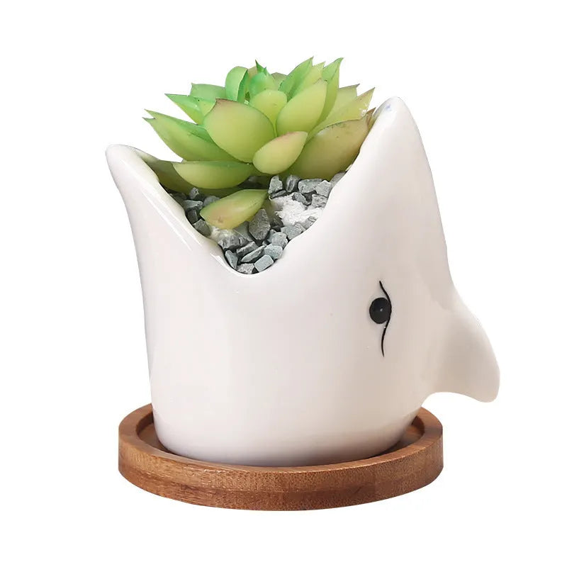 Blue ceramic cartoon succulent flowerpot with drainage hole on a desktop