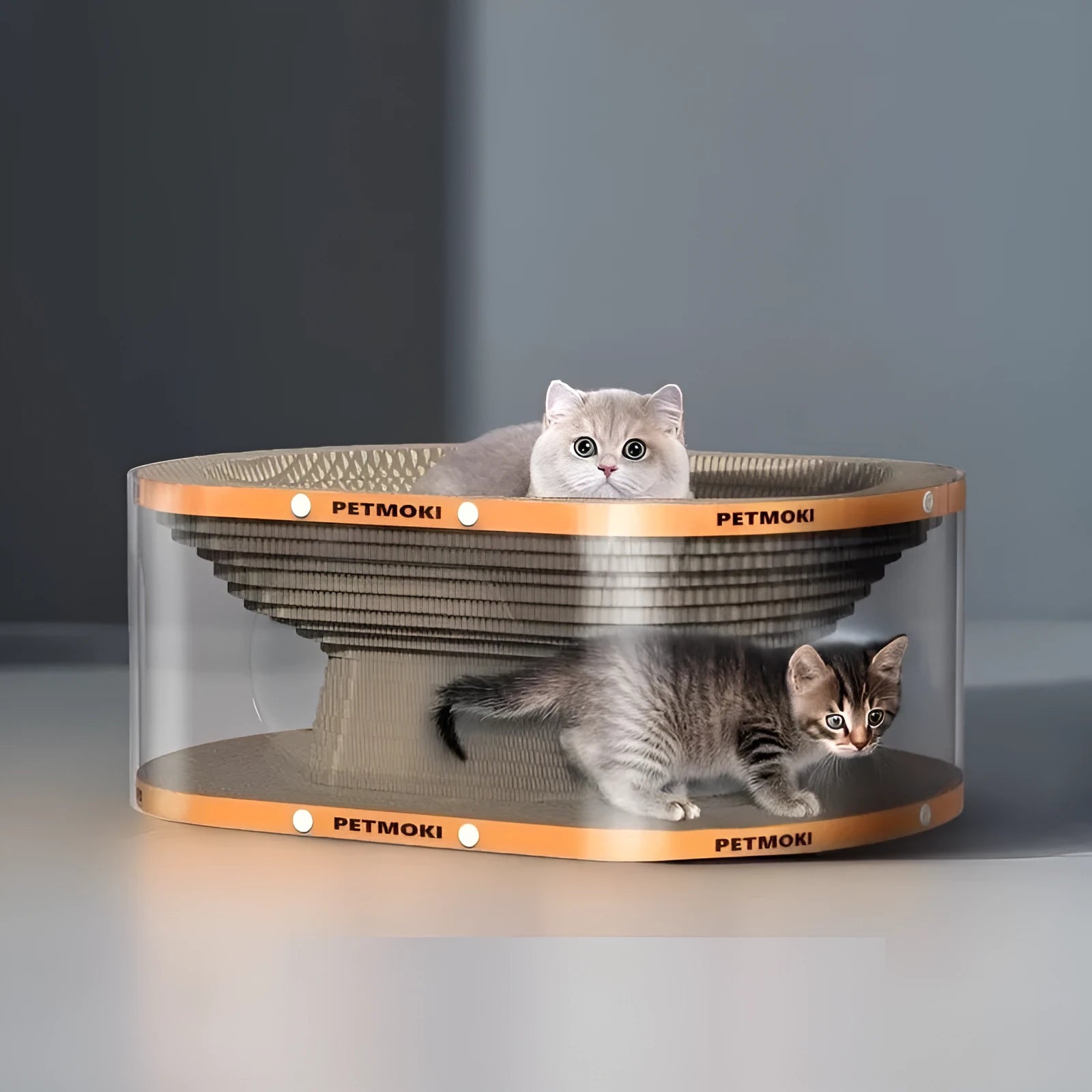White transparent PVC tunnel cat scratch board nest with corrugated cardboard panels, dimensions 58x45x23cm