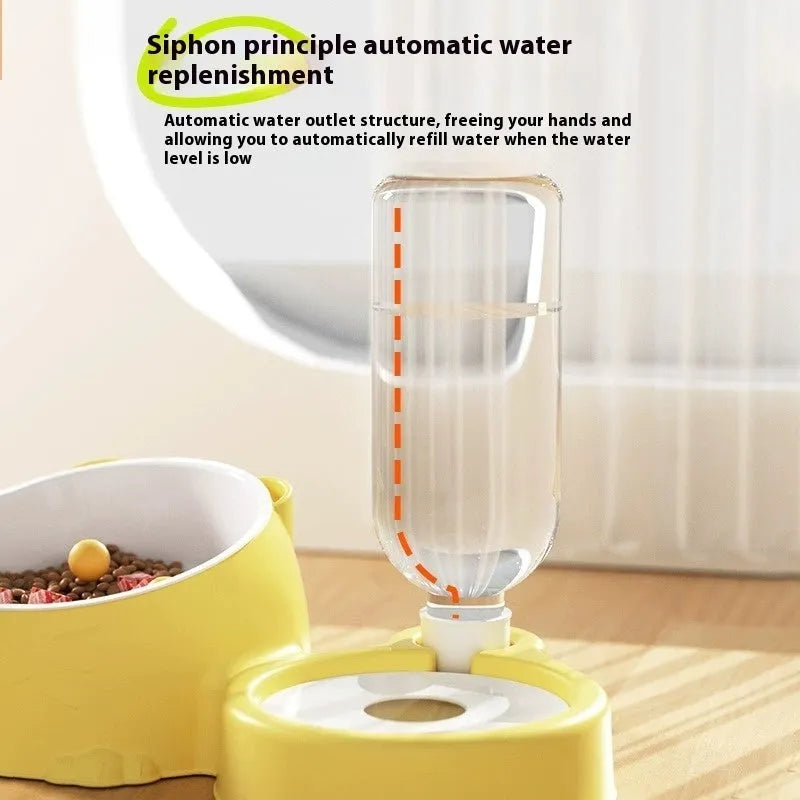 Automatic drinking pet basin with two bowls in haze blue colour