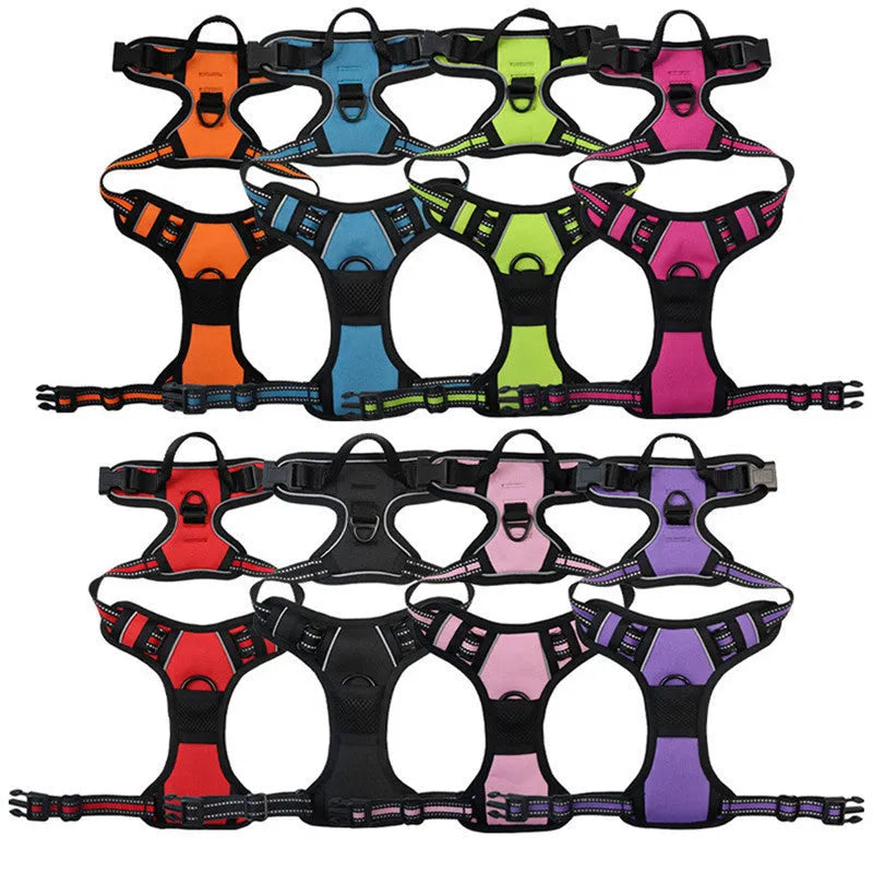 Nylon dog rope lead with chest and back control in multiple colours and sizes for pet walking and training