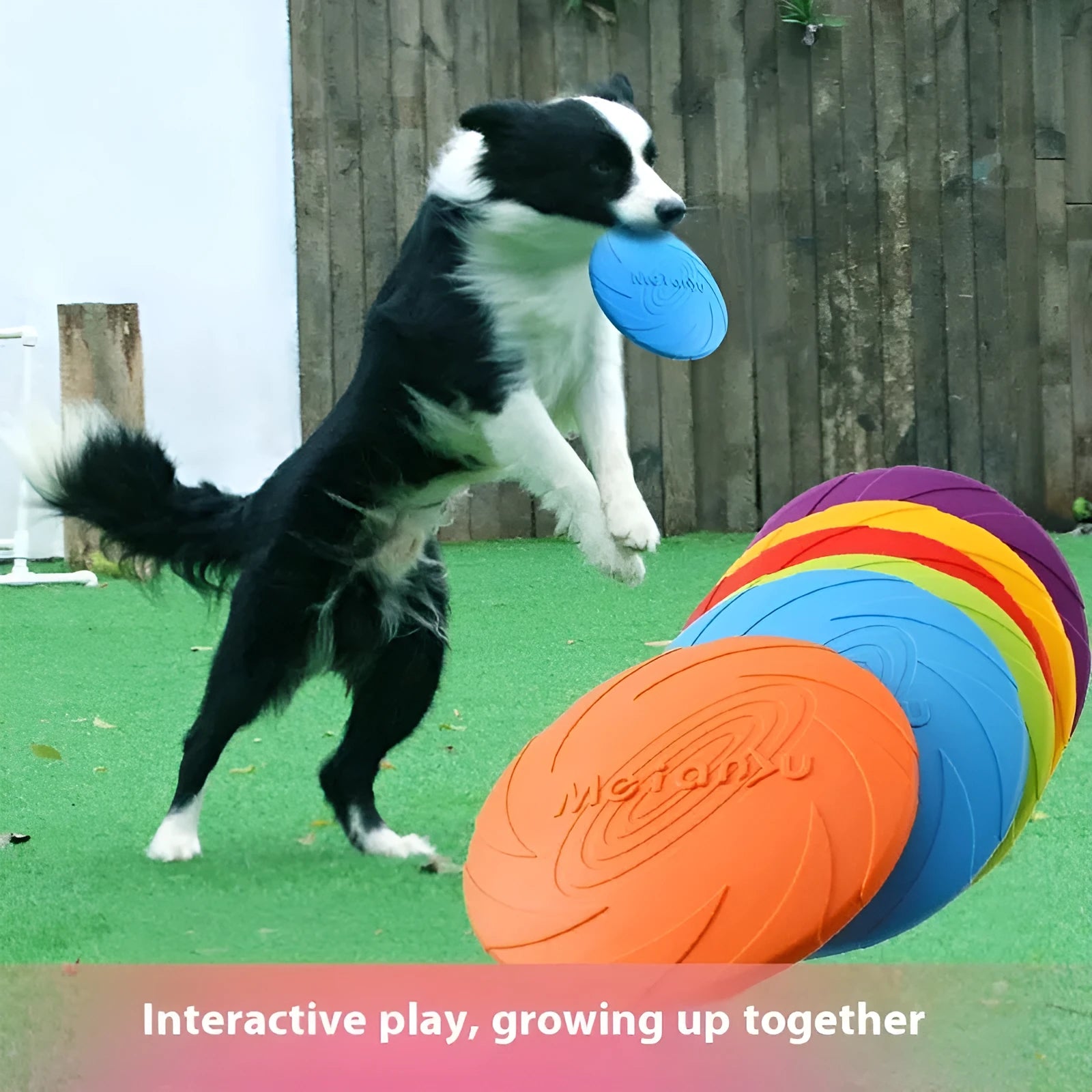 Soft rubber dog frisbee toy shown in blue colour option for outdoor throwing and fetching games
