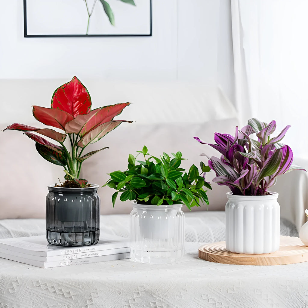 Self-absorbent hydroponic flowerpot transparent plastic resin small green plant pot vertical stripe