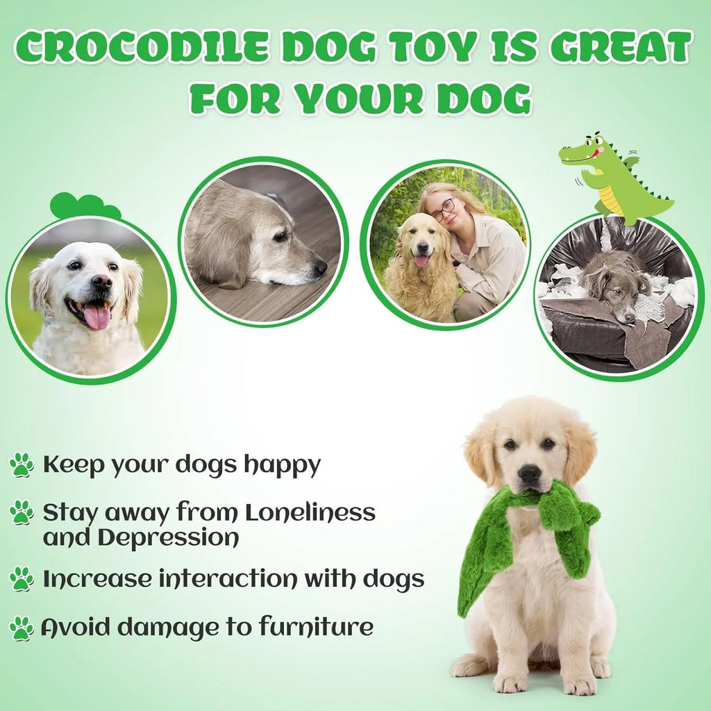 Green crocodile plush dog toy with squeaker and crinkle paper tail for aggressive chewers