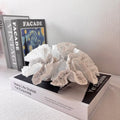 Off-white geometry coral ornament made from synthetic resin on a shelf