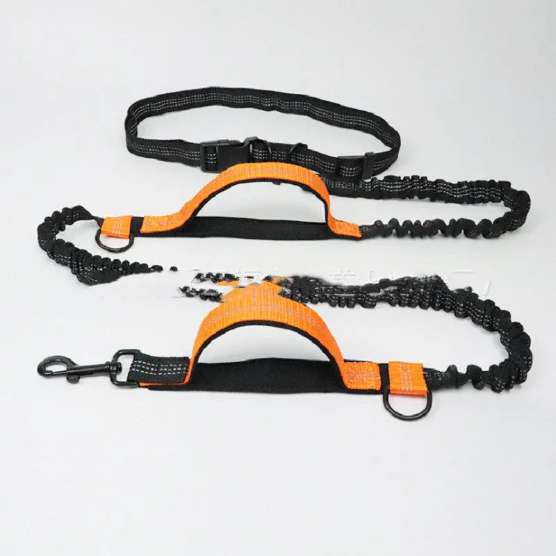 Adjustable pet traction rope with retractable leash and waist belt in fluorescent colours