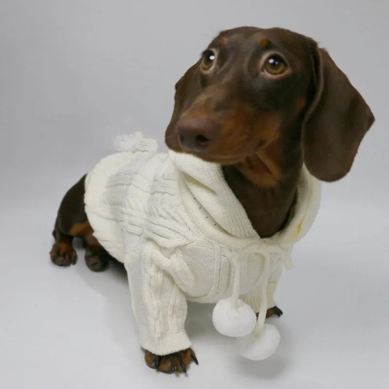 Autumn winter two-leg hooded sweater for dogs in beige colour showing hood and blended fabric