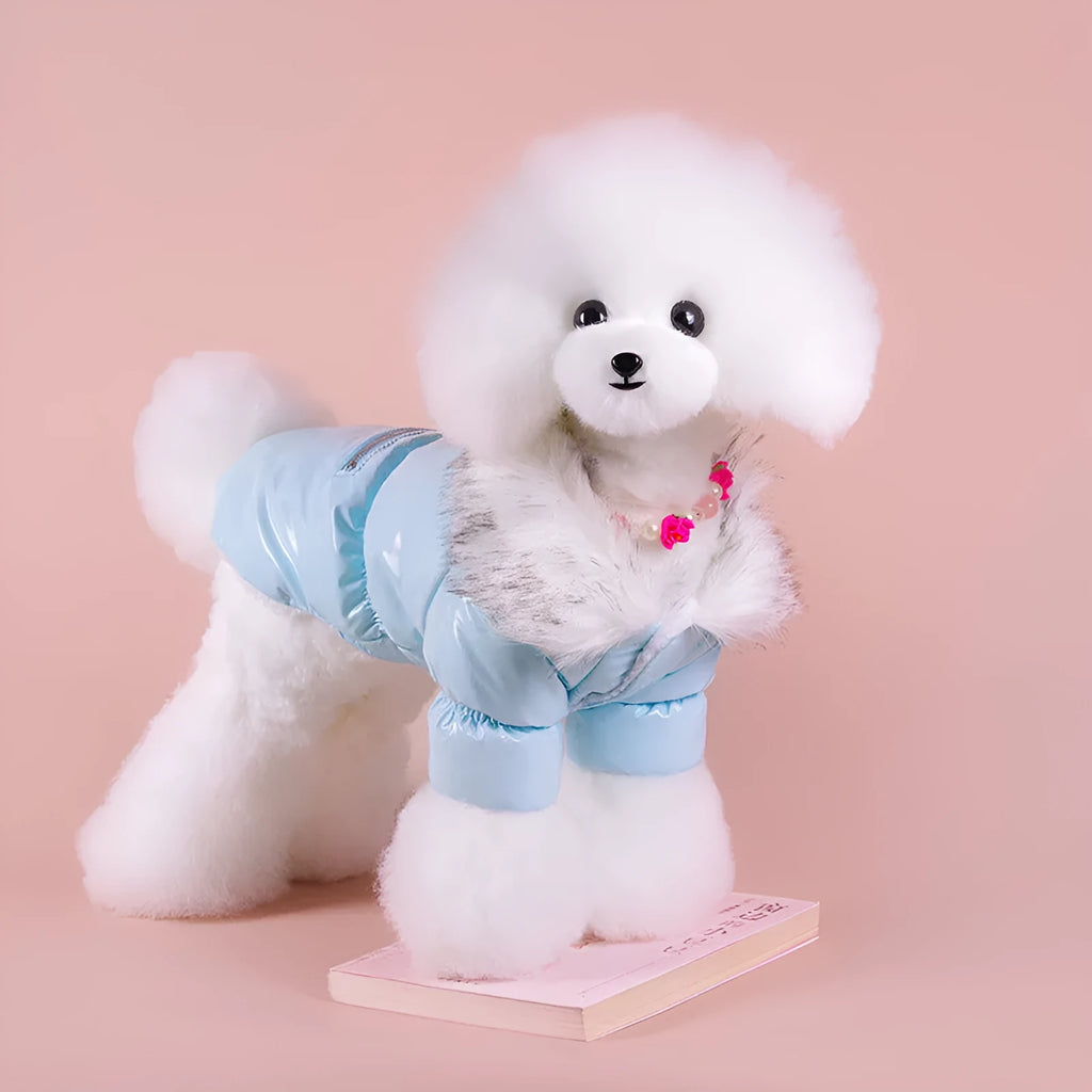 British-style blue cotton winter jacket for dog on wooden background