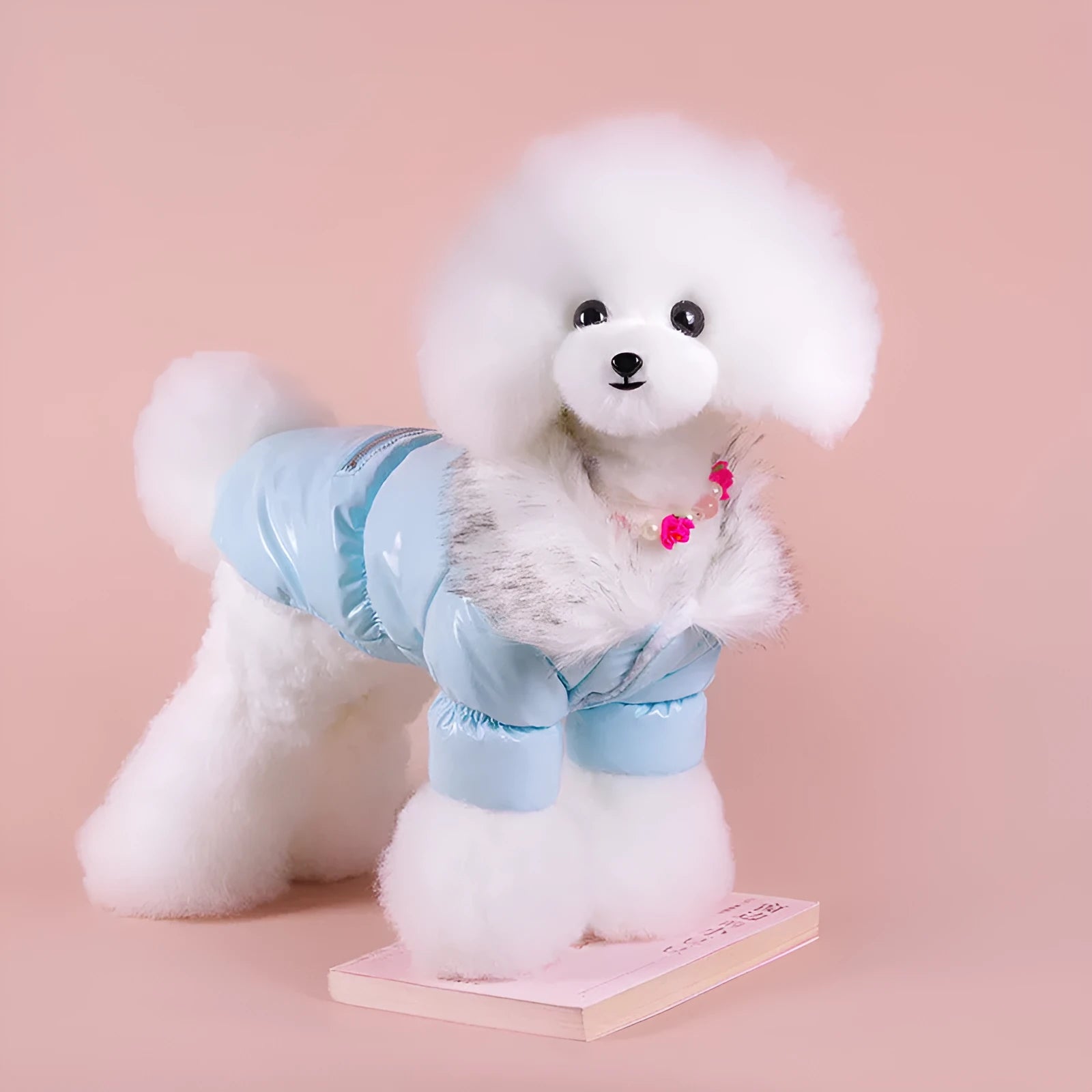 British-style blue cotton winter jacket for dog on wooden background