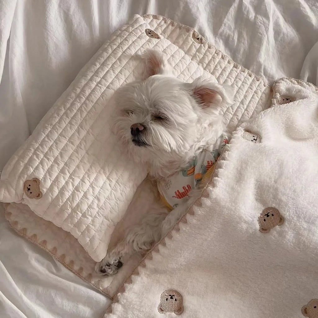 Simple Bear design dog bed set with pillow, mattress, and washable comforter in fashion square mat style