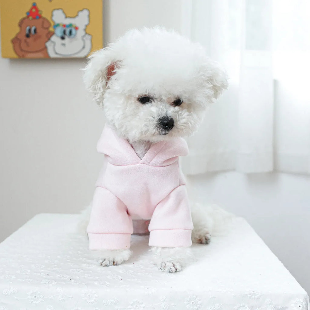Little Princess design hooded pet sweater for dogs and cats in polyester fabric
