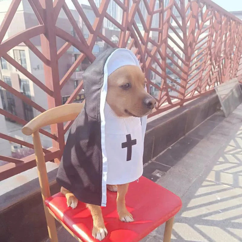 Black and white nun costume for small to medium dogs on Halloween