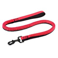 Green elastic dog training leash with rotating metal clip for medium and large breeds