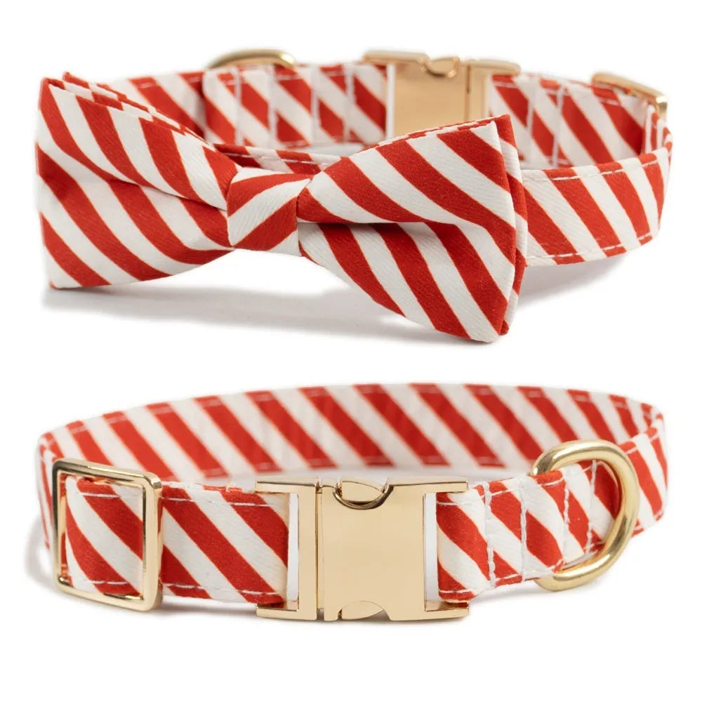 Green personalised dog collar with bow knot and adjustable strap showing engraving area