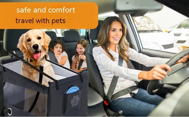 Oxford cloth foldable dog crate in black, shown next to a car