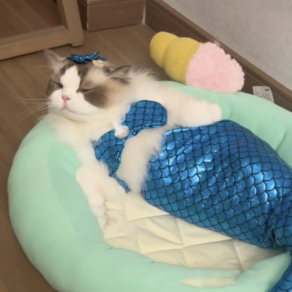 Blue mermaid costume with scale design on a cat, showing elastic fit and long fish tail.