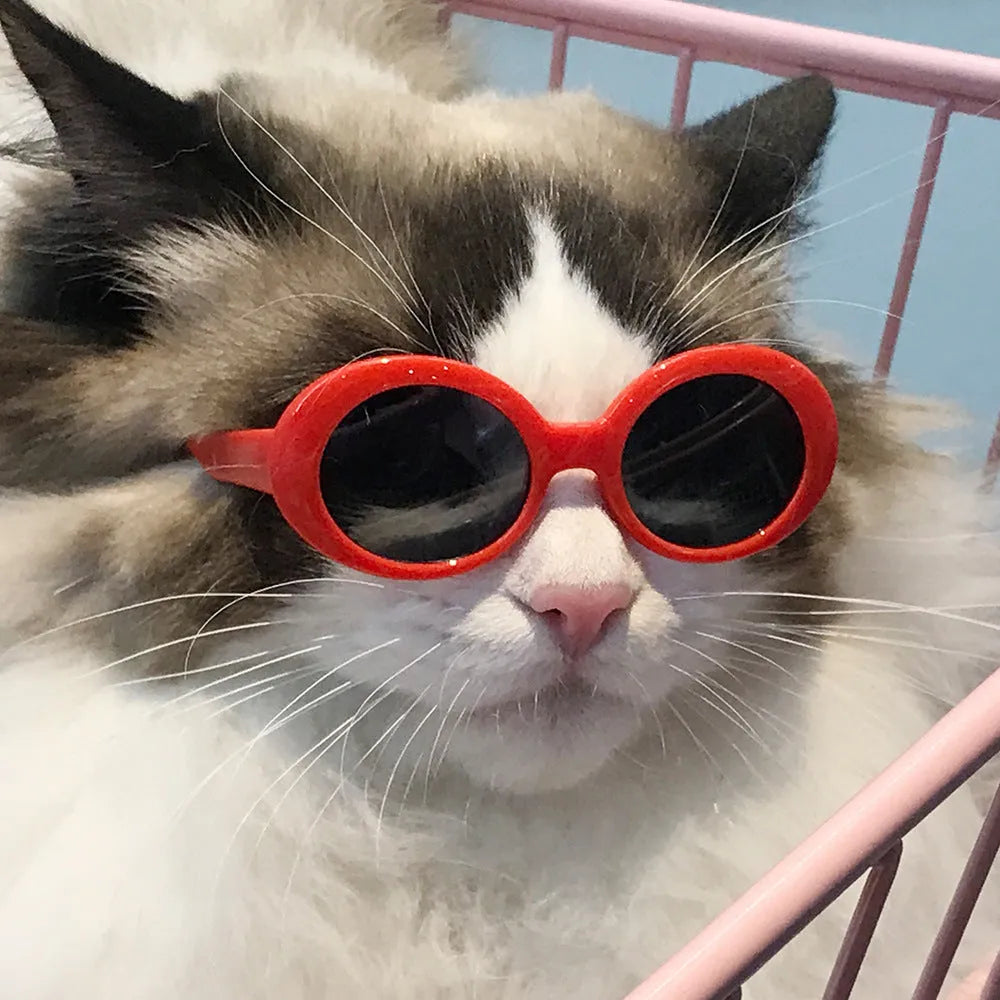 Pet dog cat multi-color sunglasses with round resin frame and UV380 PC lenses in black and gray