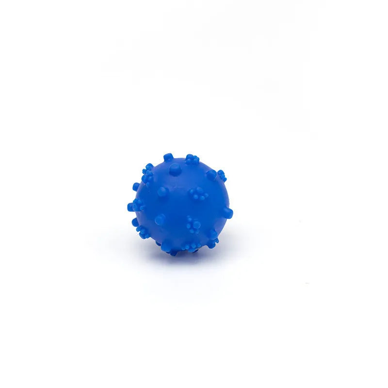 Set of four brightly coloured squeaky dog balls with a textured surface, shown next to a small dog.