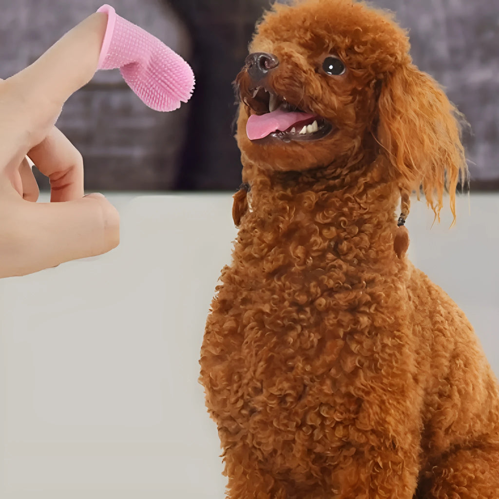 360-degree silicone finger toothbrush for dogs and cats with deep oral cleaning finger sleeve, available in multiple colours