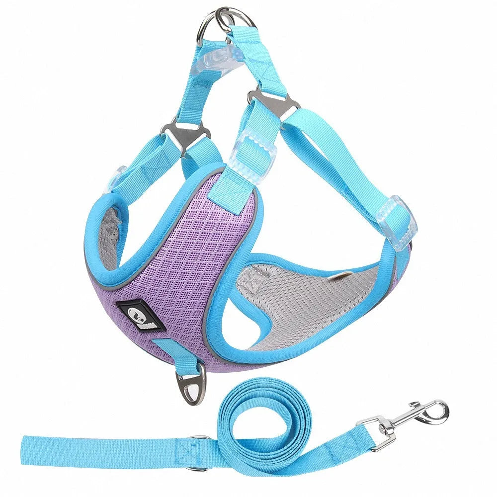 Adjustable dog harness with breathable mesh and reflective piping in black red grey light purple colours